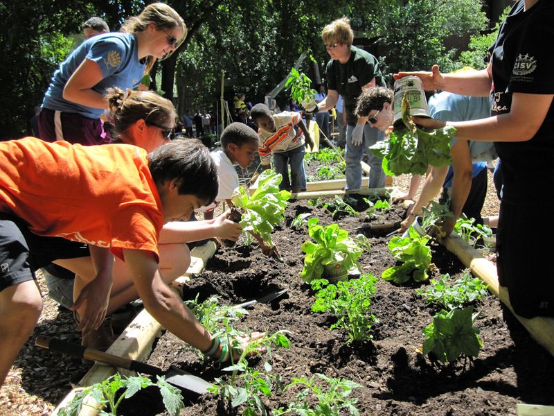 The Role Of Gardening In Food Education