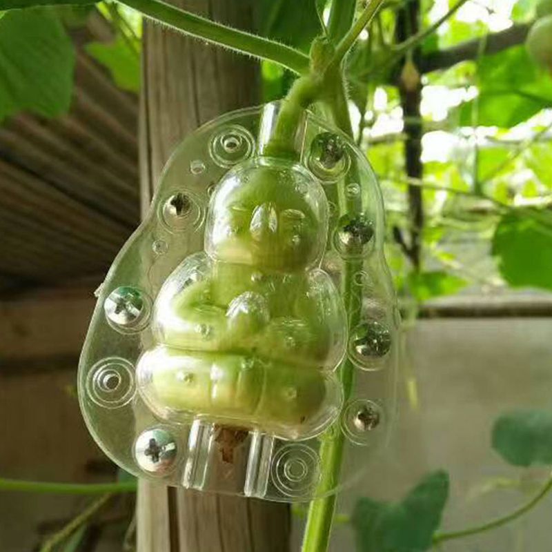 Using Shaped Moulds