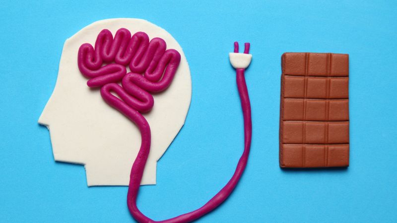 Habit Formation And Cravings