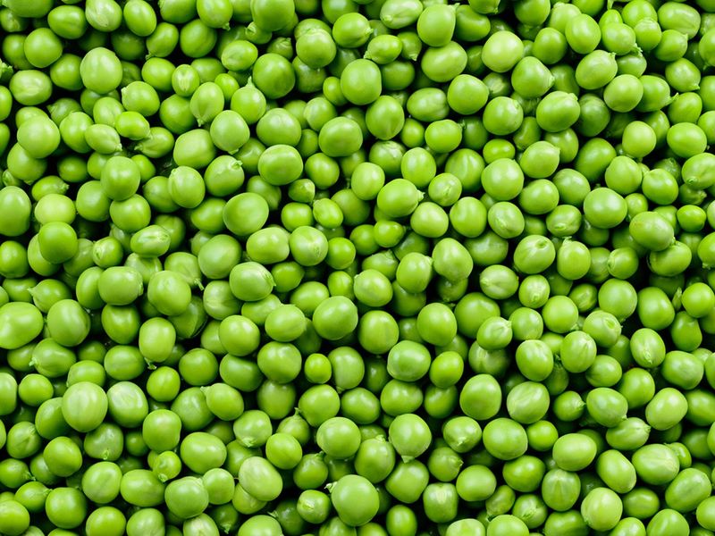 Garden Peas In Tins