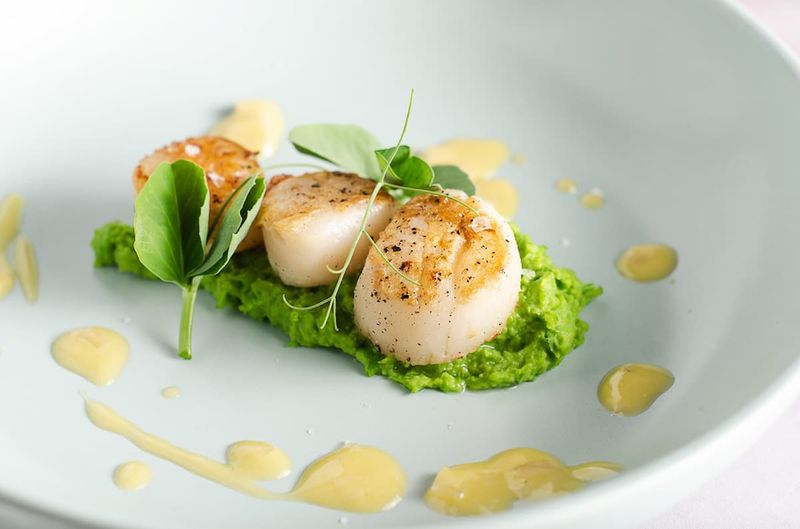 Pan-Seared Scallops With Pea Purée