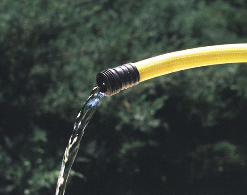 Drinking From The Garden Hose