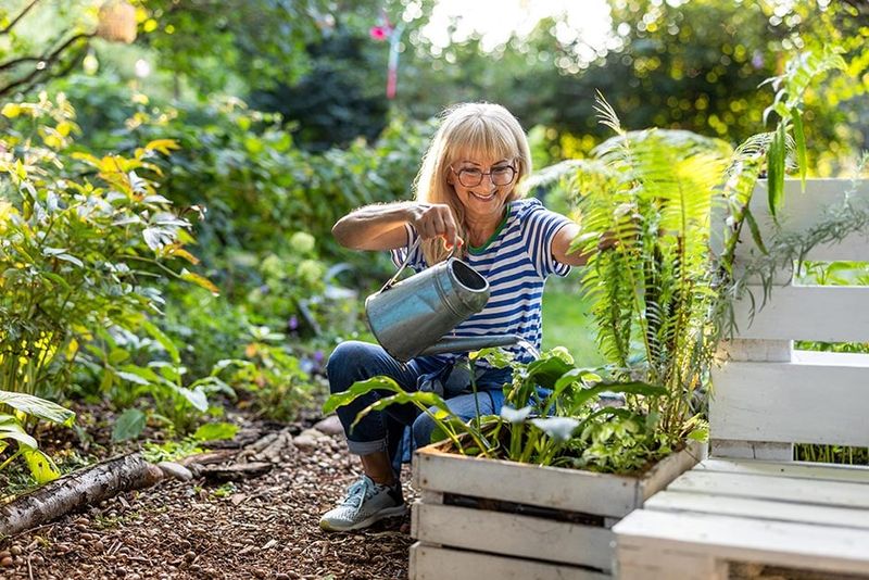 Mental Health Benefits Of Gardening