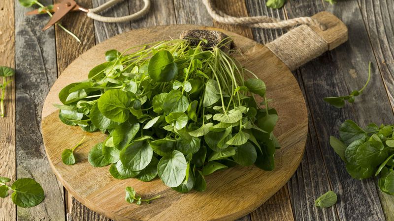 Once-Popular Ingredients We Are Glad Are Gone