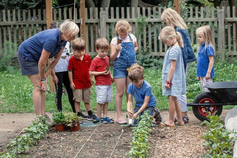 Teaching Children Where Food Comes From