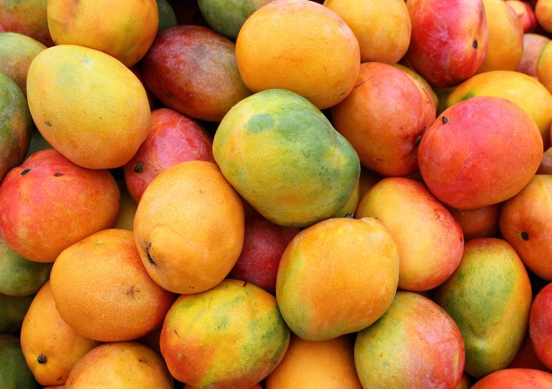 Improved Antioxidant Intake