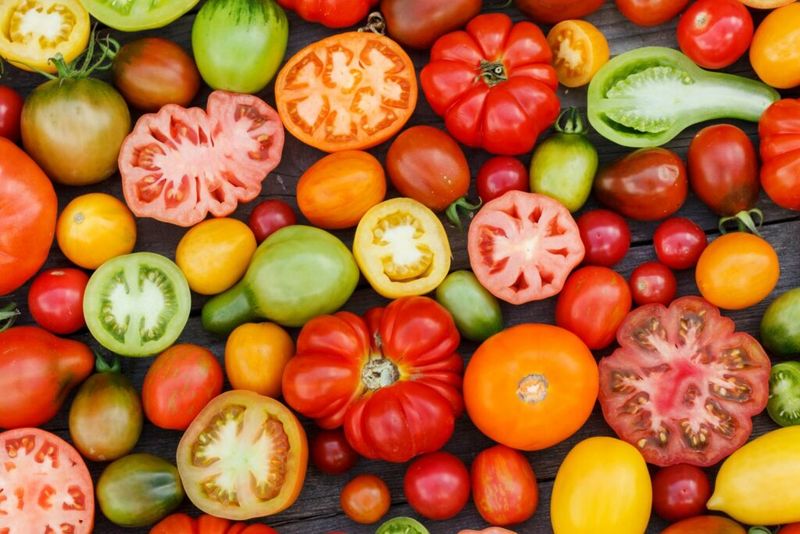 Tomatoes