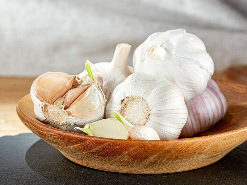 Garlic