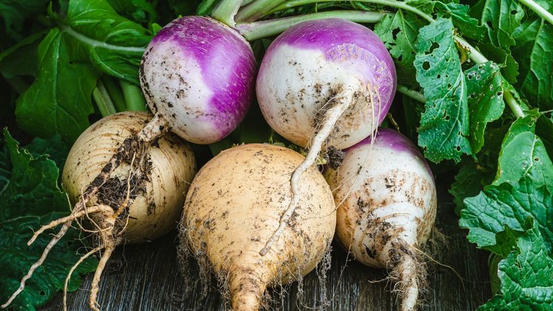 Turnips – Supports Immune Function