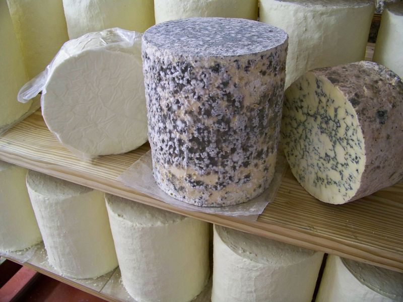 High-Quality Cheese Making Tradition