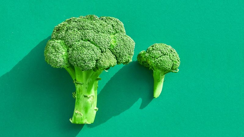 Helps Maintain Digestive Health