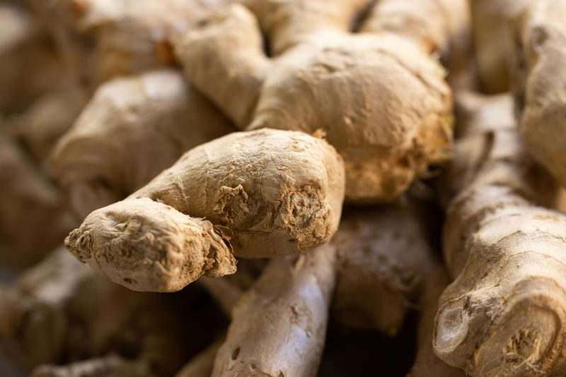 Supporting Nutrient Absorption