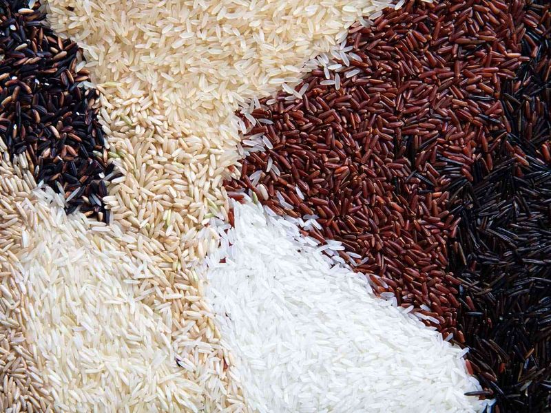 There Are Over 40,000 Known Varieties Of Rice