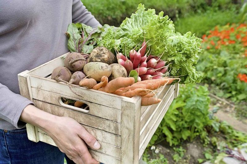 Greater Awareness Of Food Quality And Ingredients