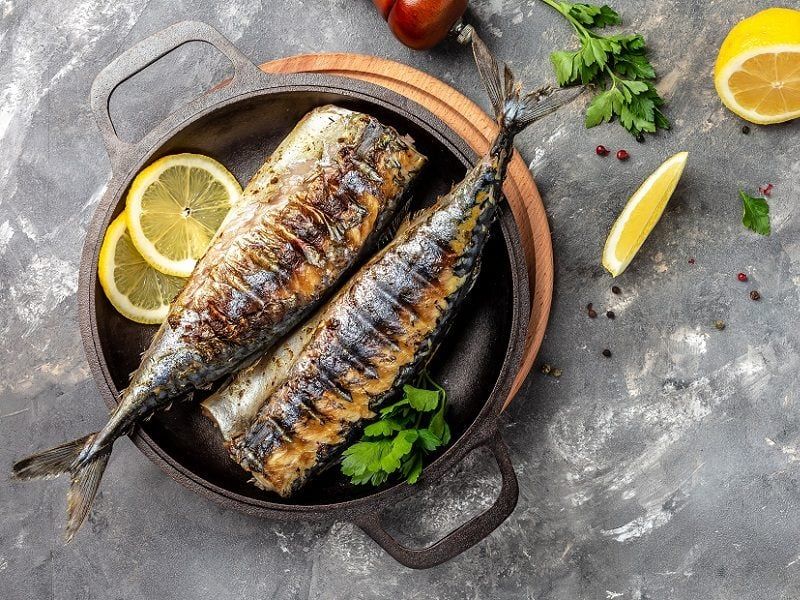 Mackerel