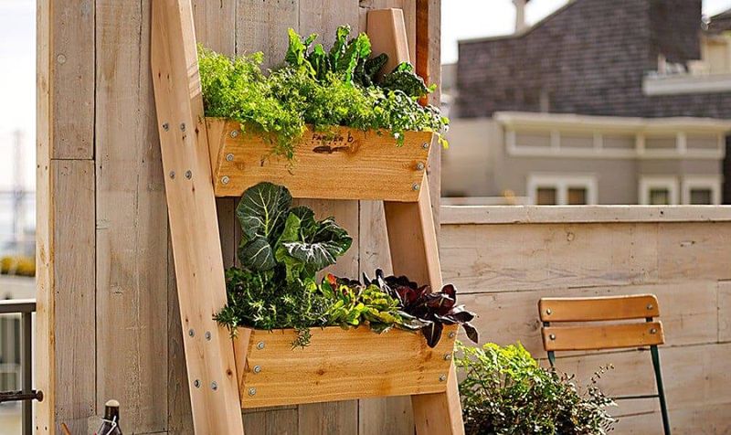 Consider Vertical Gardening