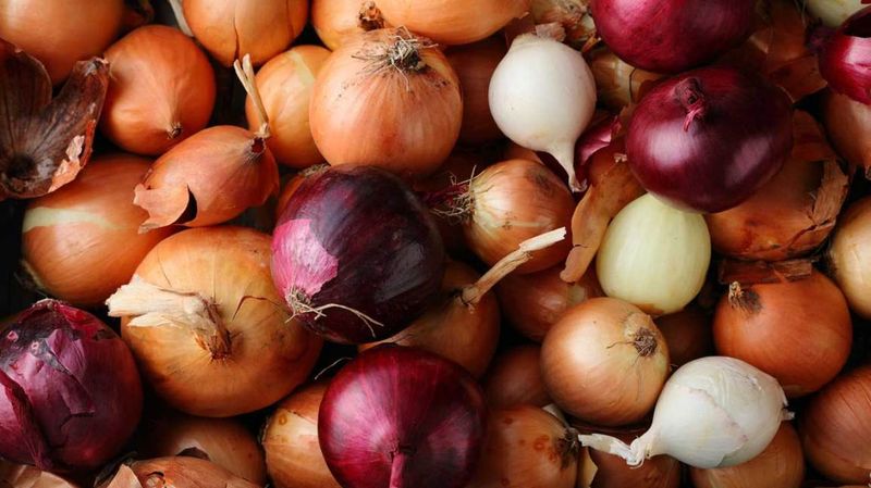 Onions