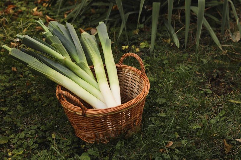 Leeks