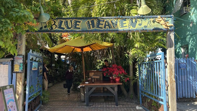 Blue Heaven (Key West, Florida)