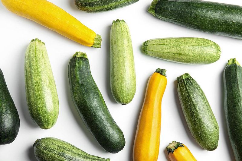 Zucchini
