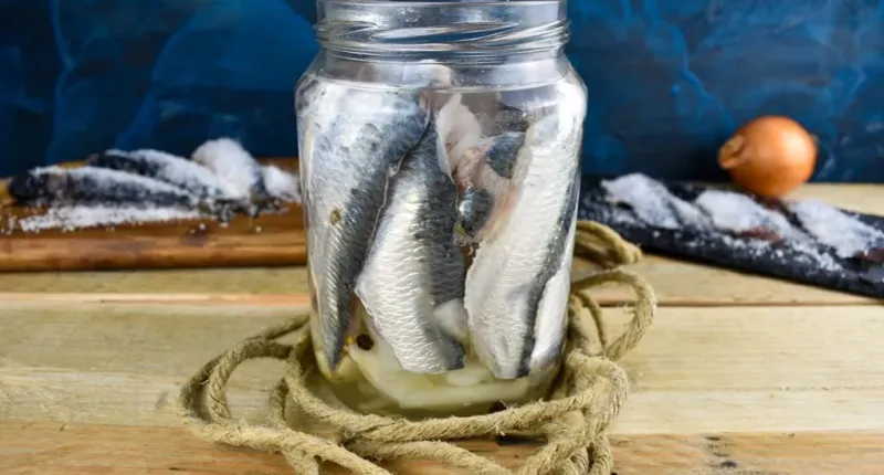 Herring