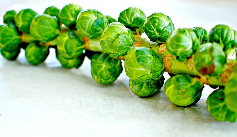 Brussels Sprouts