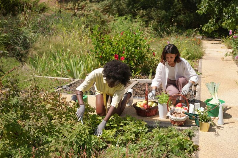 How Growing Food Encourages Sustainable Choices