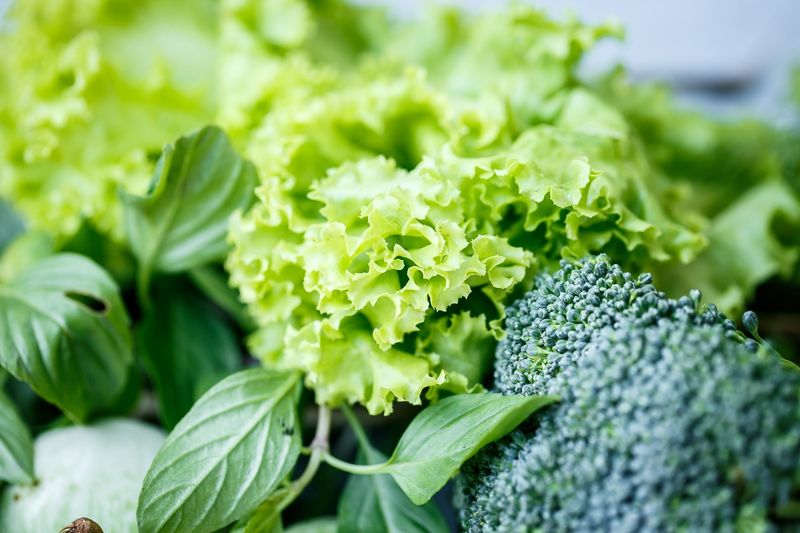 Folate (Vitamin B9)