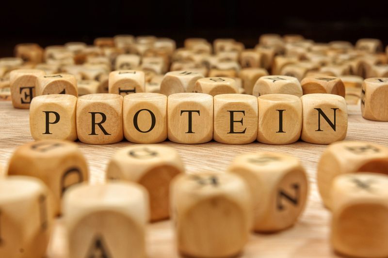 Compare Protein Sources