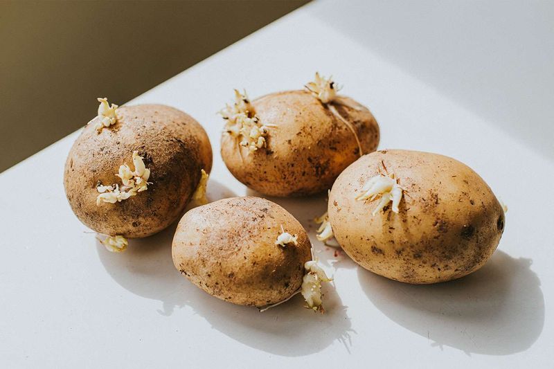 Are Sprouted Potatoes Safe To Eat?