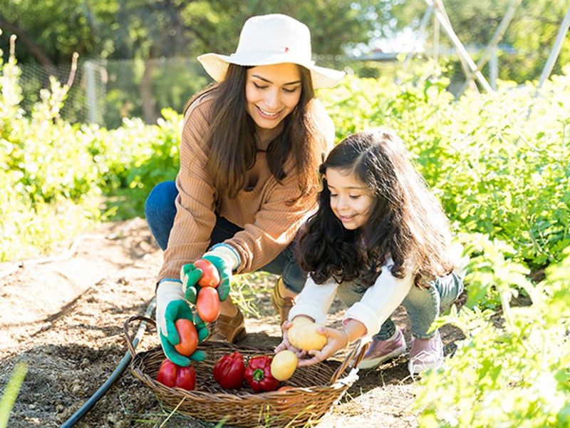 How Home Gardening Influences Eating Habits