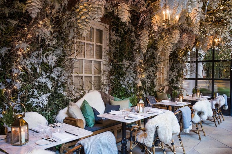 Winter Magic Arrives With Festive Lights And Special Menus