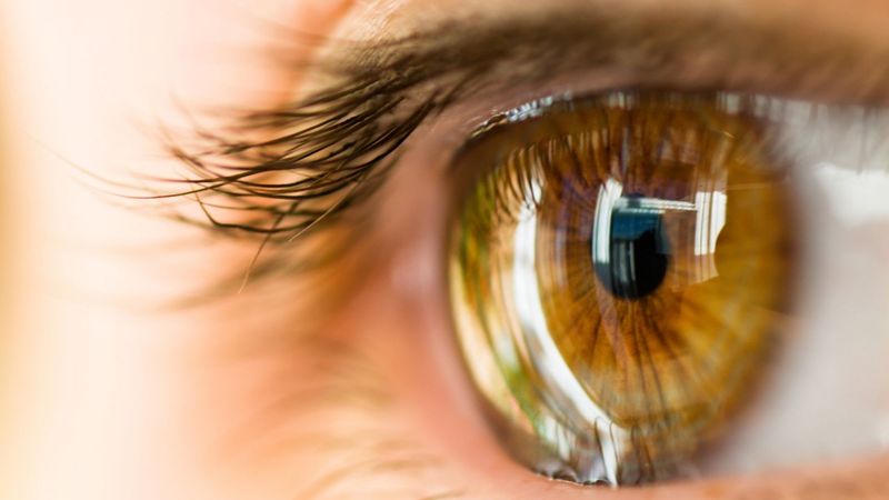 You May Support Eye Health