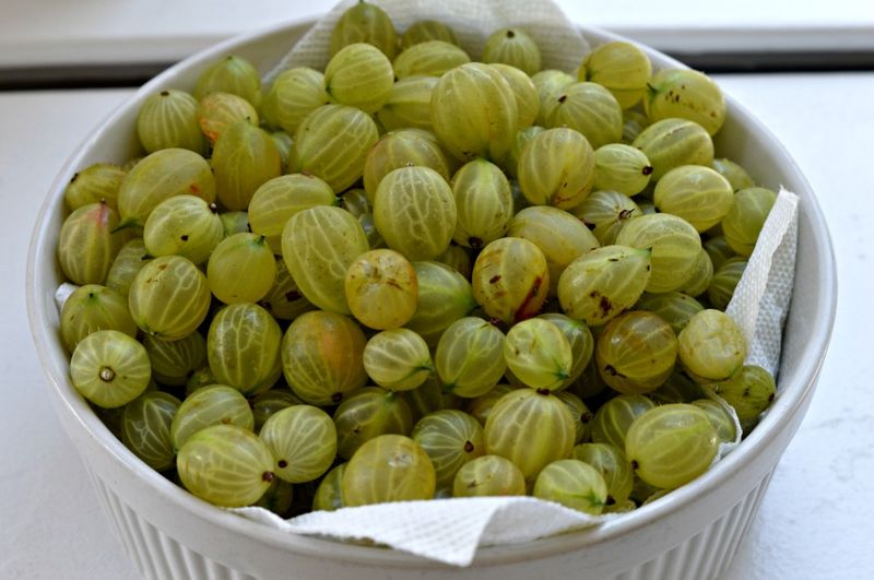 Gooseberries
