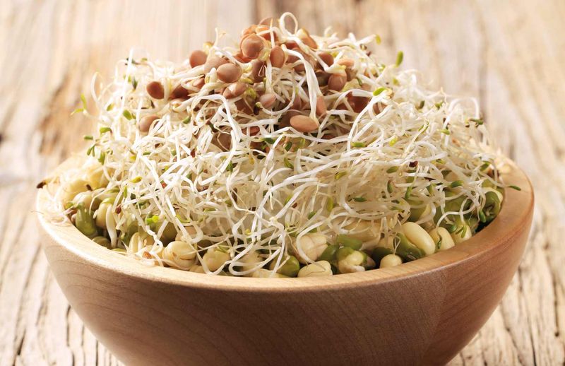Sprouts Are Loaded With Nutrients