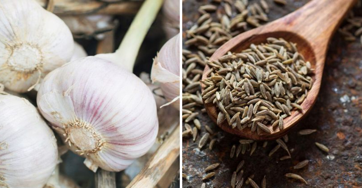 15 Herbs And Spices That Make Meals Instantly Healthier According To ...