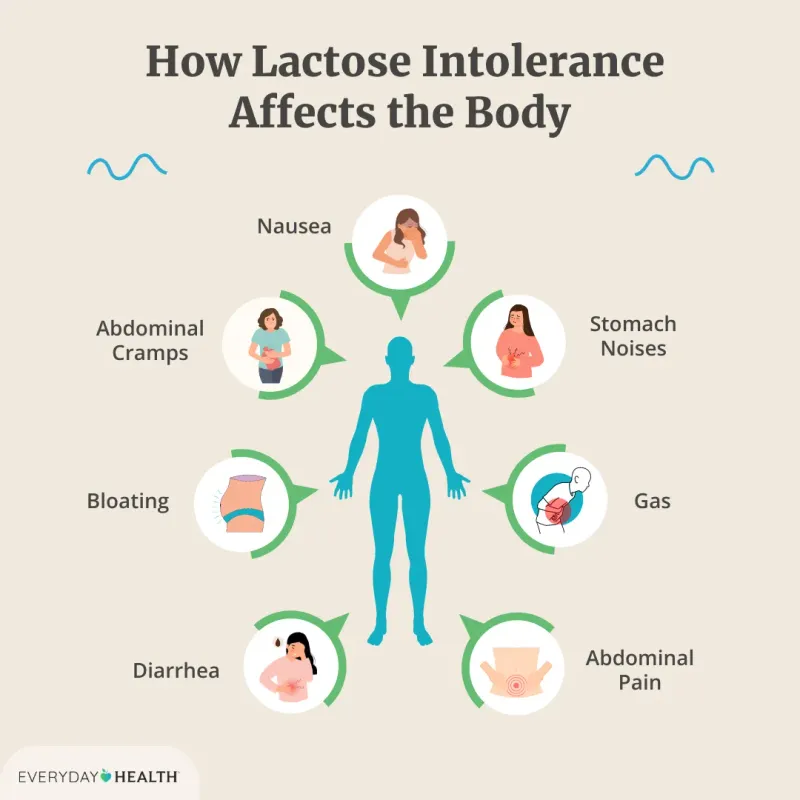 Dairy Products (for Lactose-Intolerant Individuals)