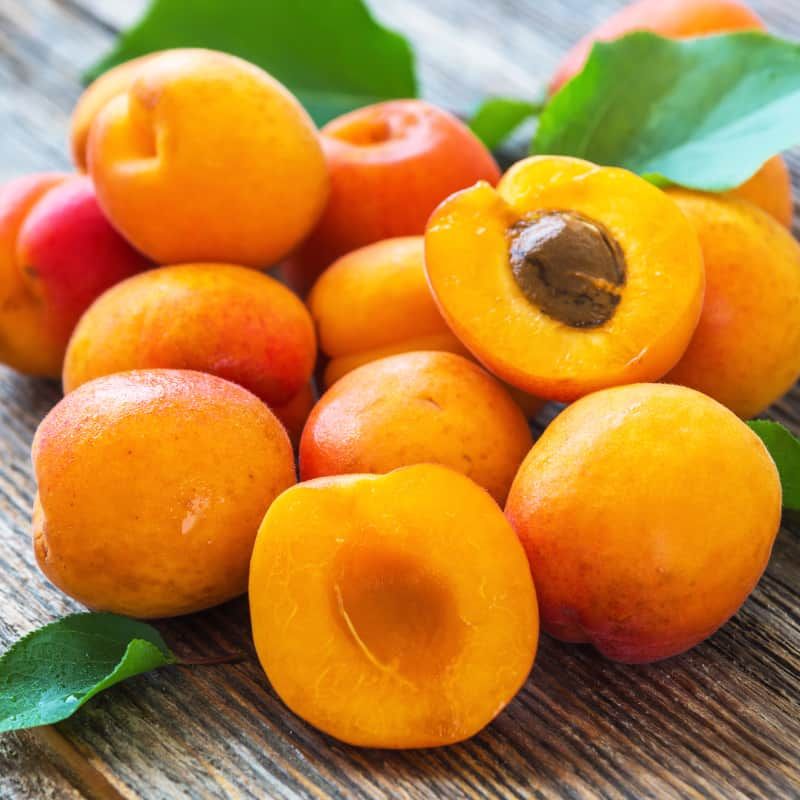 Apricots