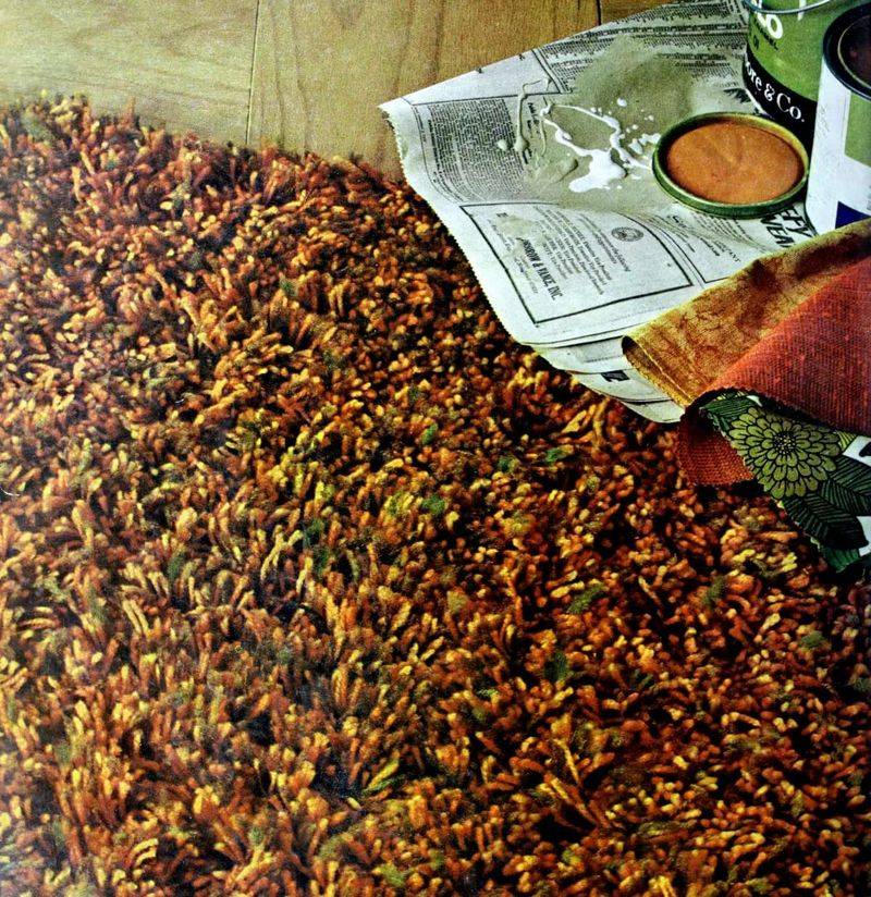 Shag Rug Kitchen Accents