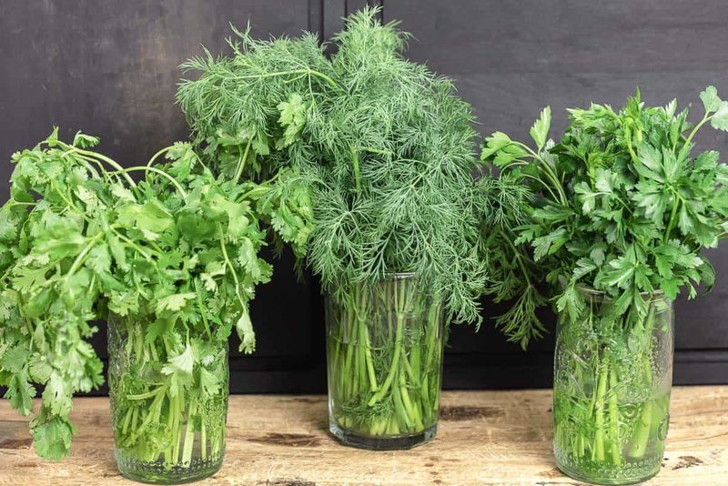 Fresh Herbs