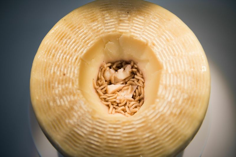 Casu Marzu (Maggot Cheese)