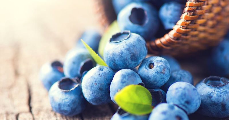 Blueberries