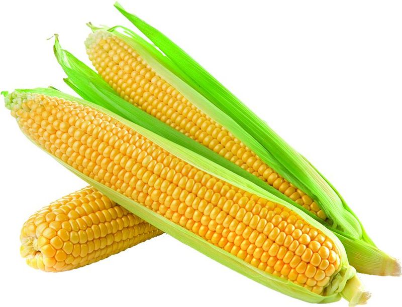 Corn