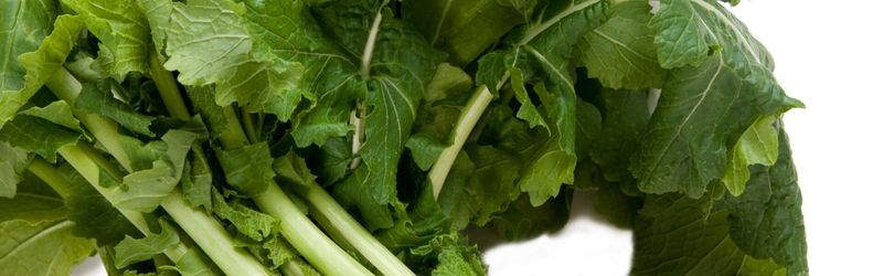 Turnip Greens