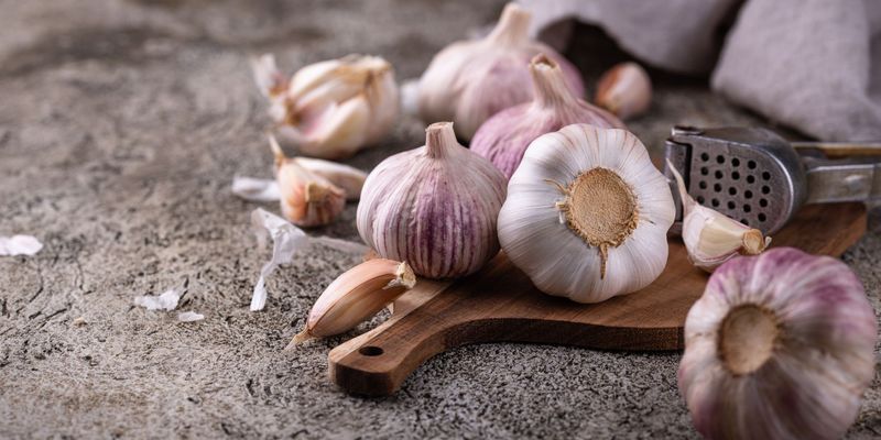 Garlic