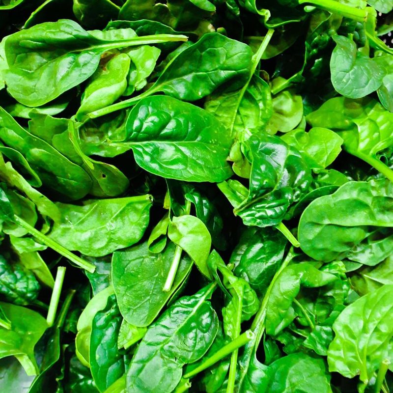Leafy Greens Spinach Kale