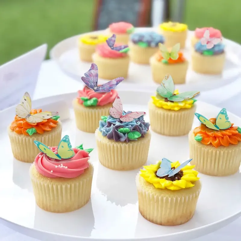 Butterfly Garden Cupcakes