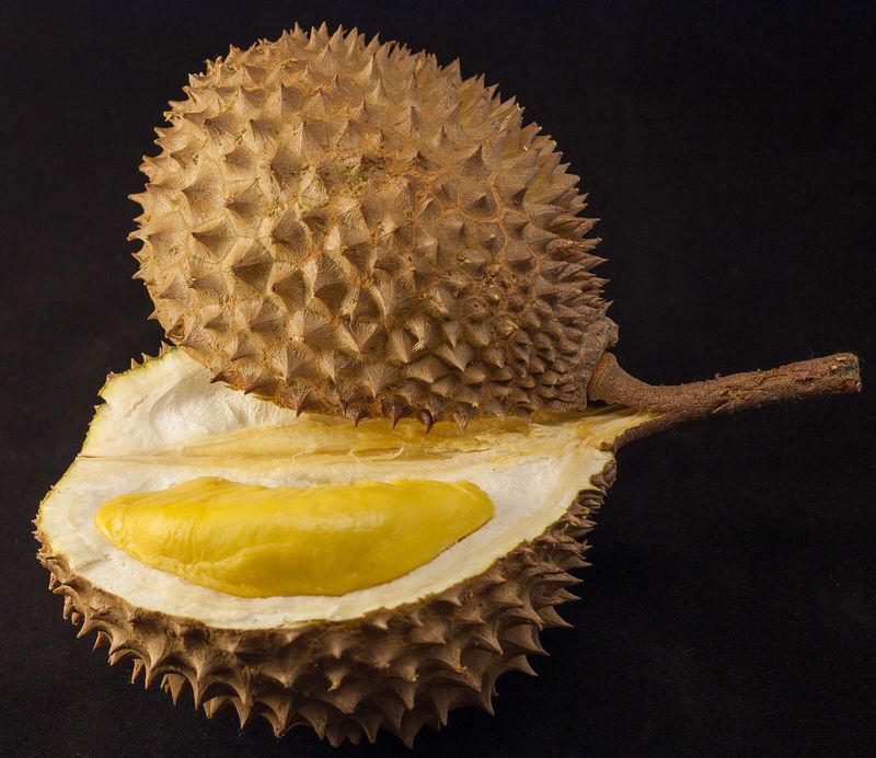 Durian (The King of Smelly Fruits)