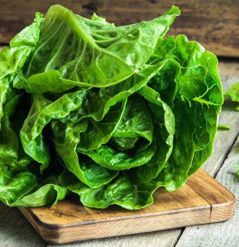 Lettuce