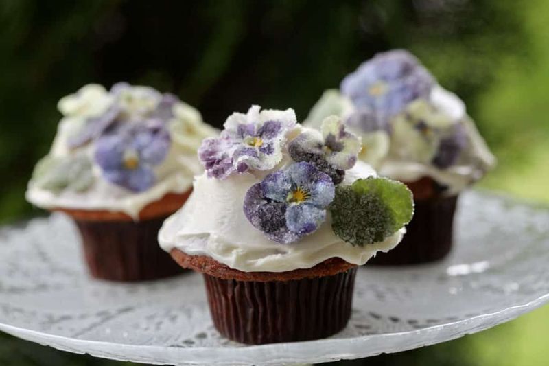 Crystallized Violet Cupcakes